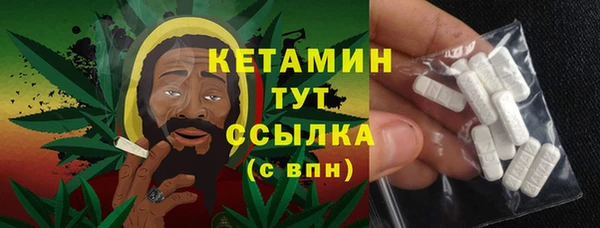 ГАЛЛЮЦИНОГЕННЫЕ ГРИБЫ Дмитриев