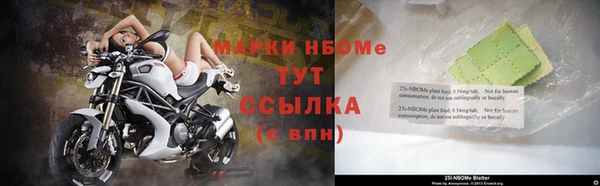 ГАЛЛЮЦИНОГЕННЫЕ ГРИБЫ Дмитриев