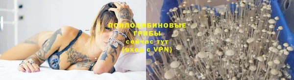 эйфоретик Дмитровск