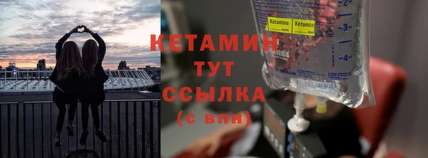 ГАЛЛЮЦИНОГЕННЫЕ ГРИБЫ Дмитриев
