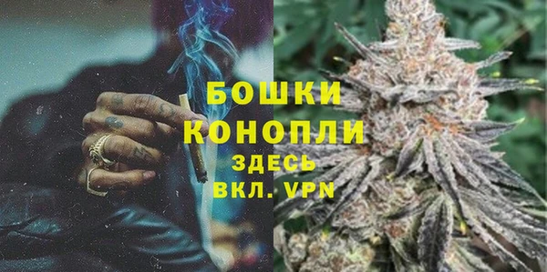 ГАЛЛЮЦИНОГЕННЫЕ ГРИБЫ Дмитриев