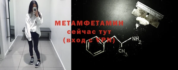 ГАЛЛЮЦИНОГЕННЫЕ ГРИБЫ Дмитриев