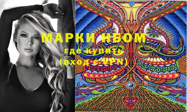 ГАЛЛЮЦИНОГЕННЫЕ ГРИБЫ Дмитриев