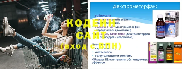 ГАЛЛЮЦИНОГЕННЫЕ ГРИБЫ Дмитриев