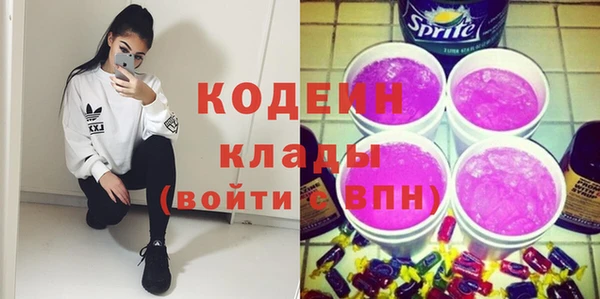 ГАЛЛЮЦИНОГЕННЫЕ ГРИБЫ Дмитриев