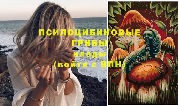 прущий лед Дмитров