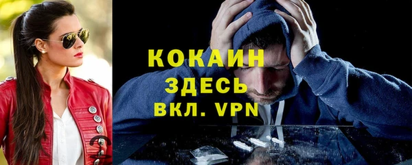 ГАЛЛЮЦИНОГЕННЫЕ ГРИБЫ Дмитриев