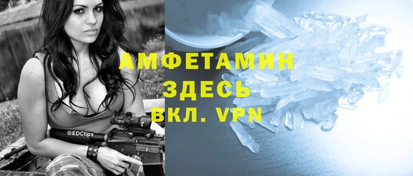 ГАЛЛЮЦИНОГЕННЫЕ ГРИБЫ Дмитриев